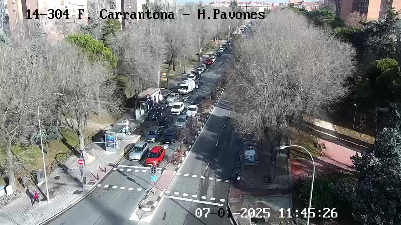 CALLE FUENTE CARRANTONA - PAVONES